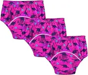 Caihoyu Baby Girls Underwear Potty Training Pants Absorb Water Overnight Training Underwear Boxer Briefs Underwear Set for Toddler Girls 4T Cute Dinosaurs Pattern Girls