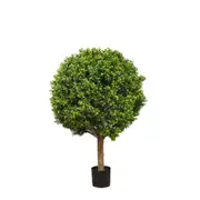 [Florabelle Living] Boxwood Ball Tree 75cm