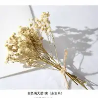 在飛比找樂天市場購物網優惠-免運 干花小花束材料風干花花花材幼兒園滿天星玫瑰真花小干花跨