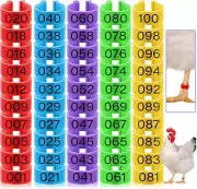 Placas Para Marcar Gallos Gallinas Pollos Pinches Anillos Accesorios 100 Piezas