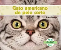 在飛比找博客來優惠-Gato Americano de Pelo Corto (
