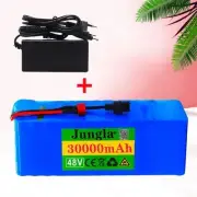 48V 30Ah 13S3P Replacement Battery Pack With Charger Large Capacity 30000MAH