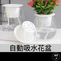 在飛比找蝦皮購物優惠-【植男】自動吸水花盆｜懶人盆栽 盆栽 魚菜共生 透明花盆 蓄