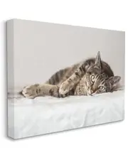 Stupell Industries Relaxed Pet Feline Cat Nap Green Eyes Stretched Canvas Wall Art by Marika Moffit