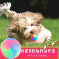 在飛比找蝦皮購物優惠-臺灣熱銷 寵物 寵物玩具發光球彈力耐咬貓狗泰迪金毛解悶玩具球