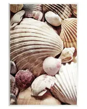 Various Nautical Clam Conch Shells Wall Plaque Wall Art by Ashley Aldridge