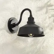 Arnett Rustic Outdoor Wall Light Fixture Black Dusk to Dawn Gooseneck 10 1/2"