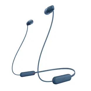 SONY 無線入耳式藍牙耳機 WI-C100灰褐