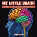 MY LITTLE BRAIN! - EXPLAINING THE HUMAN BRAIN FOR KIDS