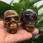 2pc Natural tiger's eye jasper Quartz Carved crystal skull Reiki healing random