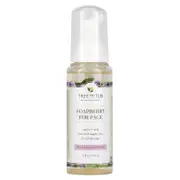 Tree To Tub, Soapberry Gentle Foaming Face Wash Cleanser, Moisturizing, pH Balanced for Dry, Sensitive Skin, Lavender, 4 fl oz (120 ml)