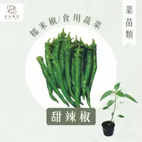 在飛比找蝦皮購物優惠-【拈花微笑】青龍椒｜糯米椒｜3吋｜菜苗｜料理｜食用蔬菜｜調味