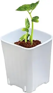Nursery Pots,Mini Planter - 10X Seedling Holder with Drainage Holes for Flower Succulents Cuttings Desktop Yard Balcony Home Garden