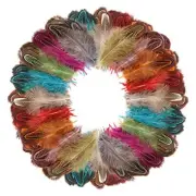 240 Pcs Pheasant Plumage Feathers 2-3 Inches Natural Fluffy Feathers for Crafts