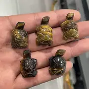 5pc Natural Tiger eyes quartz Crystal tortoise Carved Skull Reiki random