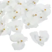 20Pcs 2.8" Artificial Silk Butterfly Orchid Flower Heads for DIY, Pure White