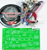 Human to Robot voice converter/Changer Unassembled kit for Student