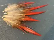 5pcs 5-8cm Natural Red Tip Knife Lady Amherst Pheasant Feathers DIY Craft