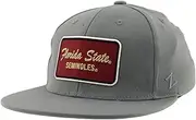 Zephyr ZHATS Standard NCAA Officially Licensed Fitted Hat M15Z Brick Gray