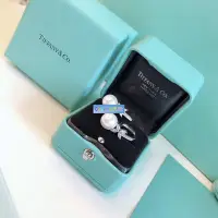 在飛比找Yahoo!奇摩拍賣優惠-【MOMO全球購】Tiffany&CO.蒂芙尼 耳環 耳釘 