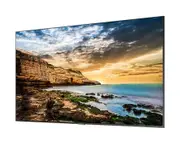 Samsung (QET) 55" LED UHD Pro Display