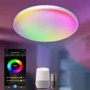 Smart Ceiling Light 24W 12" Flush Mount - Alexa & Google Home Compatible RGB LED