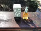 Naked & Thriving Rejuvenate Restorative Face Oil 0.33 oz 10ML Certified Organic