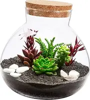 Gatuida Terrarium Jars Mason Jar Glass Storage Bottle Empty Home Supplies Room Decor