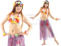 在飛比找Yahoo!奇摩拍賣優惠-【優作坊】GY13A夏威夷草裙舞、迎賓舞裙、草裙舞衣