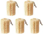 5 PCS Natural Loofah Shower Sponge for Men or Women - Exfoliating Luffa Bath and Body Sponge - Dishwashing Loofah for Kitchen Cleaning