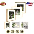 Elegant Bronze 12x12 Metal Picture Frames with Mat - Set of 3 for Gallery Walls
