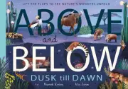 Above and Below: Dusk till Dawn: Lift the flaps to see nature's wonders unfold b