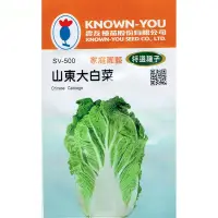 在飛比找Yahoo!奇摩拍賣優惠-種子王國 山東大白菜(Chinese Cabbage) sv