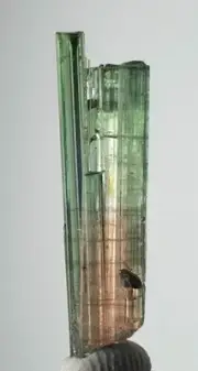 Wonderful Bi Colour Termnited Tourmaline Crystal From Afghanistan