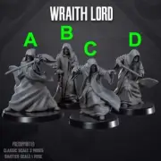 Wraith Lord - SKULLFORGE | Legion & Shatterpoint compatible - 3D printed