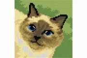 "Siamese cat" Printed Canvas for Cross Stitch Tapestry Gobelin 2712