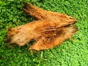 Clean Coconut Husk fiber, Chips, Bites Orchids flowers,anthurium Free Ship