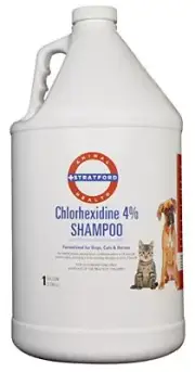 Stratford Chlorhexidine 4% Shampoo, Gallon
