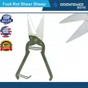 STANDARD HOOF Foot Rot Shears Sheep shears trimming scissors Veterinary use