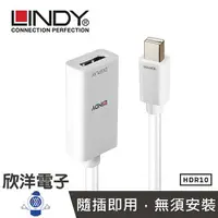 在飛比找樂天市場購物網優惠-※ 欣洋電子 ※ LINDY林帝 轉接器 主動式MINI D