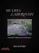 My Life's Labyrinth ─ A Journey Through Life With Jesus