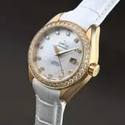 omega Seamaster Aqua Terra 150M watch women TO04111