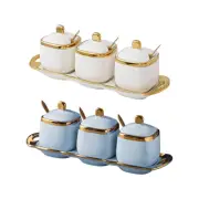 Elegant Spice Jar Set for Kitchen Seasonings And Condiments