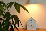 MUJI Cuckoo Clock Large Size White Light Sensor Simple from JAPAN NEW F/S