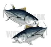 Albacore Tuna Decals Fish Stickers Tackle Box RV Truck Trailer AFP-003.2