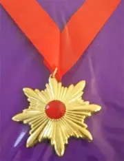 Deluxe Vampire Costume Medallion