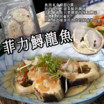 （生鮮）菲力鱘龍魚、鱘龍魚頭切塊《歡迎批發詢價》