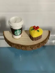 jumping spider accessories