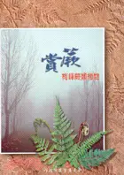 在飛比找三民網路書店優惠-賞蕨：梅峰蕨類植物