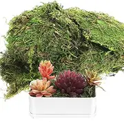 TOPPERFUN Green Stained Moss Decor Faux Moss for Fake Plants Indoor Crafts Preserved Flower Artificial Fake Grass